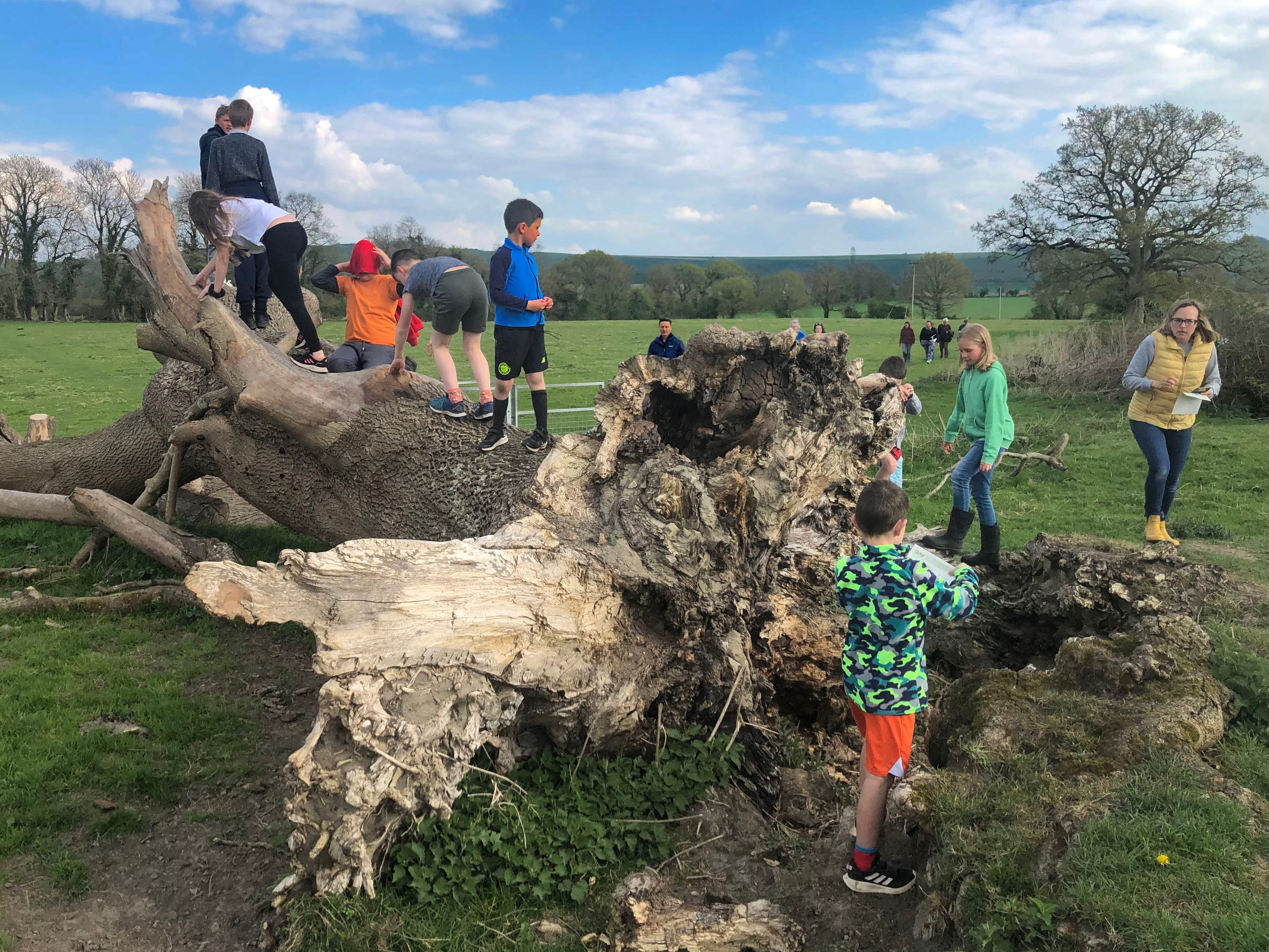 Kids climbing on a fallen tree trunk in a field