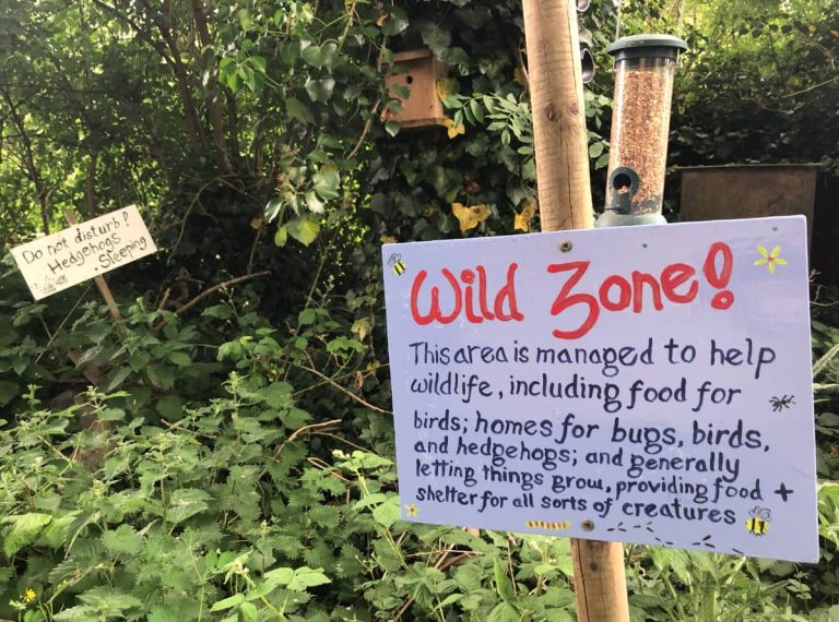 'Wild zone' sign explaining eco reason for untidy area of churchyard