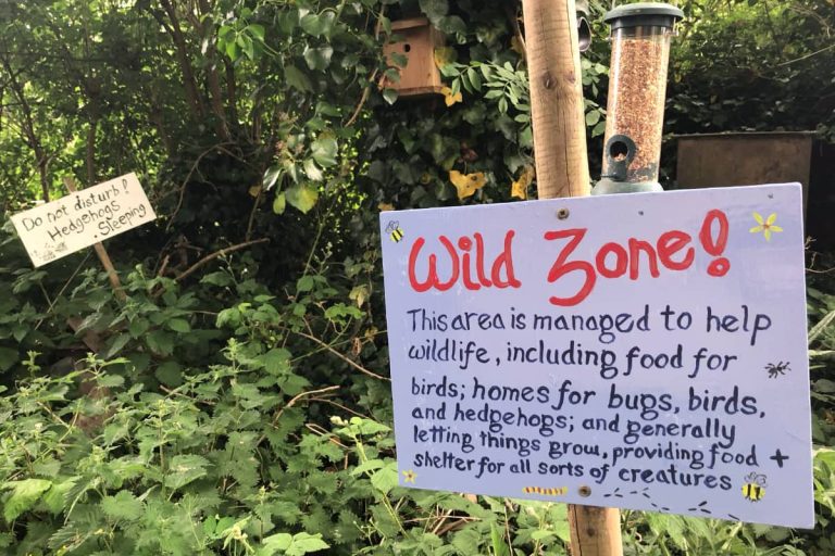 'Wild zone' sign explaining eco reason for untidy area of churchyard